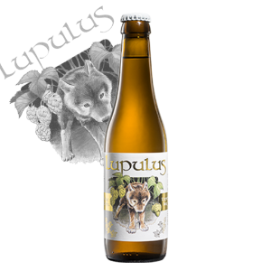 Lupulus – Blonde Tripel