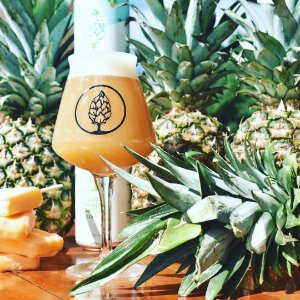 Beer Tree PineApple Creamsicle