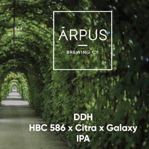 Arpus HBC 586 x Citra x Galaxy
