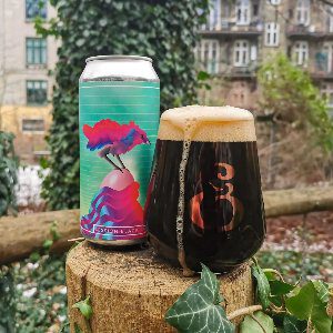 Dry & Bitter – Future Paradox